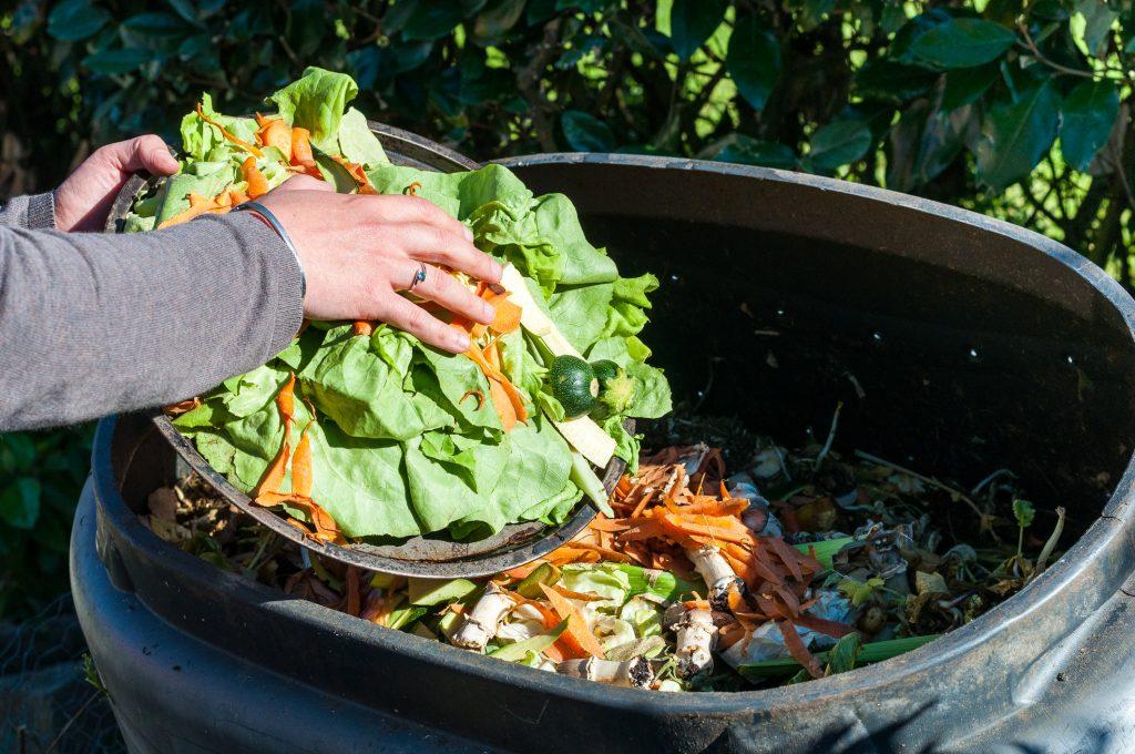 Food Waste Removal Service and Cost in Sunnyvale California