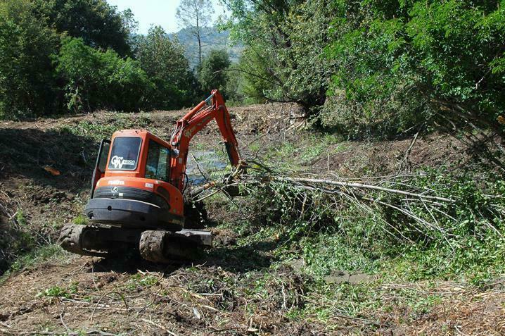 Leading Land Clearing Services and Cost in Sunnyvale California