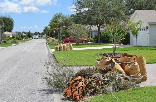 Excellent Landscape Waste Removal Service and Cost in Sunnyvale California