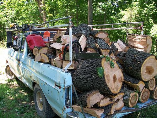 Excellent Log Removal Service and Cost in Sunnyvale California