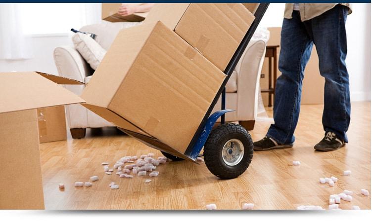 Removal Services and Cost in Sunnyvale California