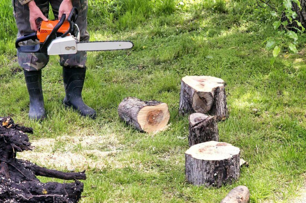 Best Stump/Bush Removal Service and Cost in Sunnyvale California