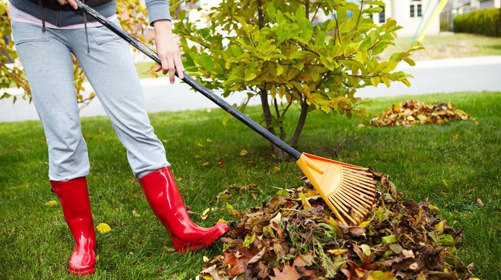 Yard Waste Hauler Service and Cost in Sunnyvale California