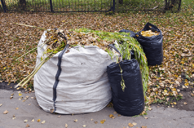 Yard Waste Disposal Services and Cost in Sunnyvale California